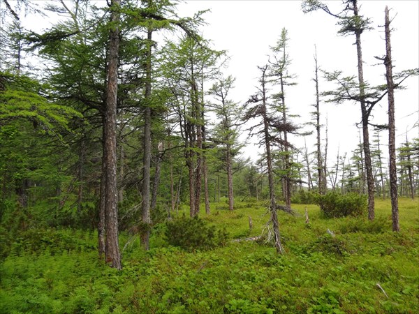 Охотское Море 108